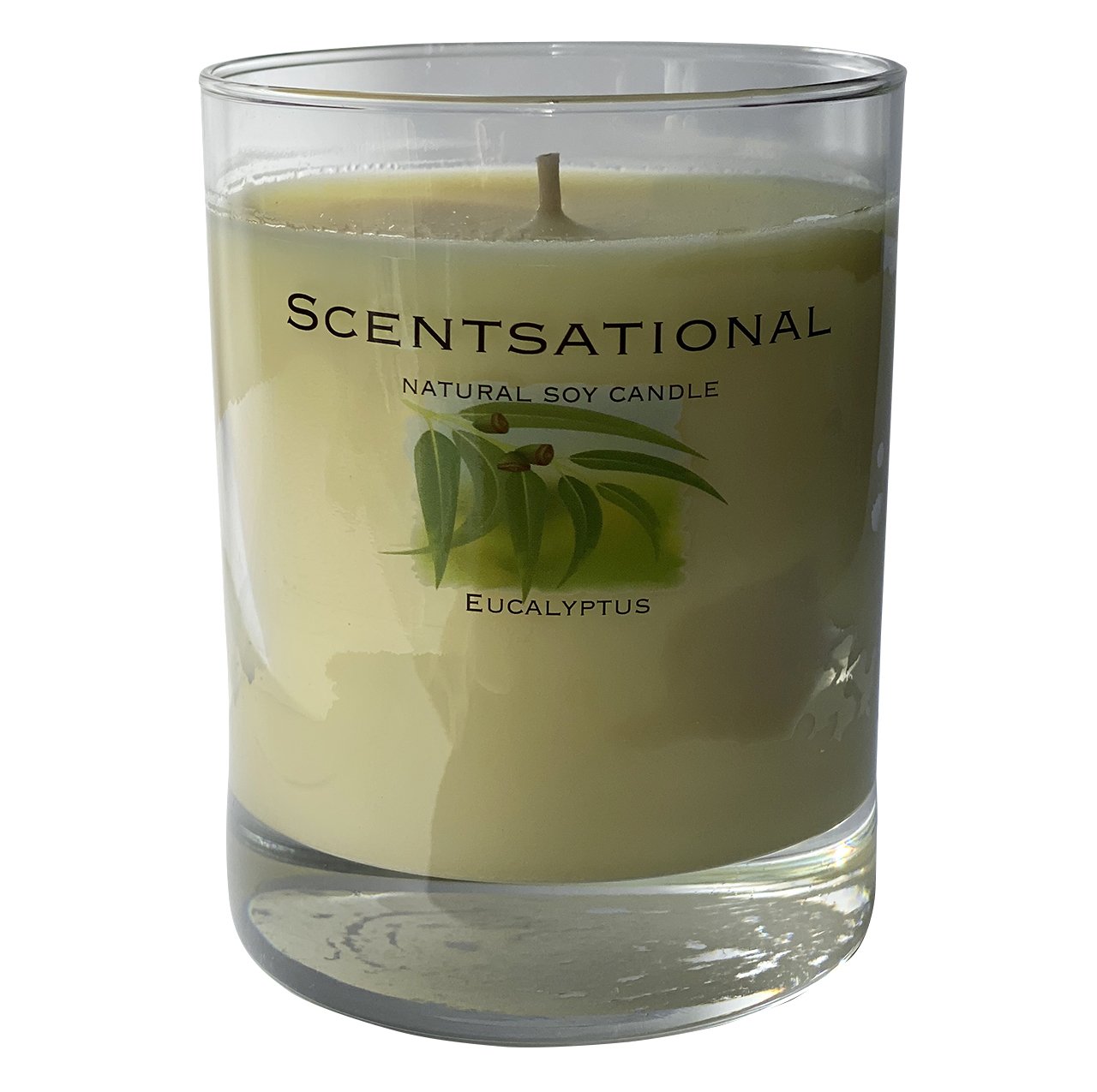 Scented Soy Candles EUCALYPTUS (11 oz) eliminates smoke, household and pet odors.