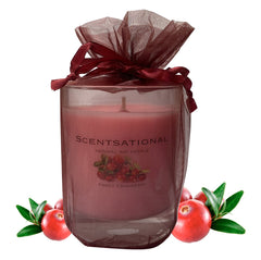 Scented Soy Candles CRANBERRY (11 oz) eliminates smoke, household and pet odors.